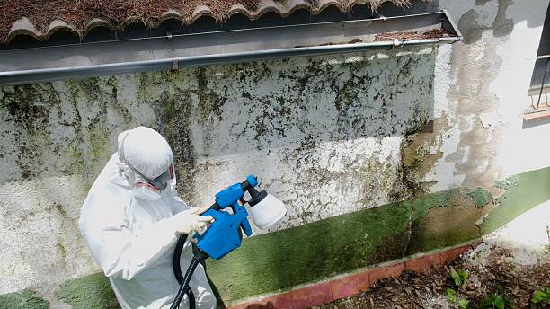 Top rated local Attic Mold Removal specialists in Saxton, PA